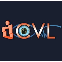 iCVL - The interdisciplinary Computational Vision Lab logo - Similar company to Bci4Als