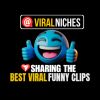 @viralniches logo - Similar company to Nixbees
