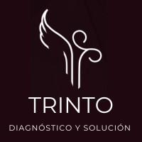 Trinto Consulting logo - Similar company to Leonardo1452
