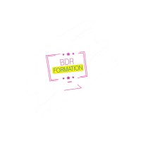 BDR Formation logo - Similar company to Technopro Madagascar