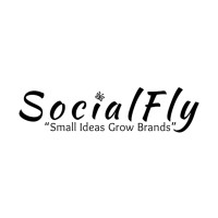 Social Fly Digital Agency