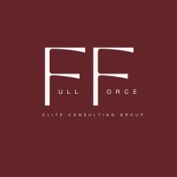 Full Force Elite Consulting Group logo - Similar company to Joy Dev Co