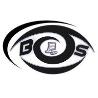 Blink Consultancy Services logo - Similar company to Iq Consultancy