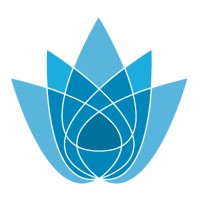 Blue Spark Capital Advisors logo - Similar company to Firebrand Wealth Management, Llc