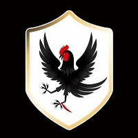 Black Rooster Inc.