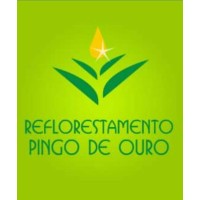 Pingo de Ouro Exports logo - Similar company to Mineração Costa Marques