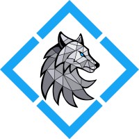 Skoll Cyber logo - Similar company to Inns Holdings, Ltd