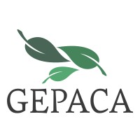 GEPACA TECHNOLOGIES logo - Similar company to Neocore Global