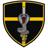 INVESTIGATIVE INTELLIGENCE AGENCY COBRA logo - Similar company to Metro Intelligence Agency