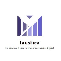 Taústica logo - Similar company to Intecomp