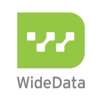 WideDataCorp logo - Similar company to Georgiamsp