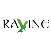 Ravine NI logo - Similar company to Dpsun