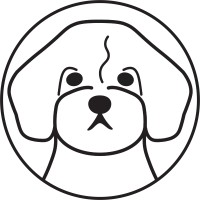 Dabarqus logo - Similar company to 4Rempay