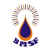 BAMBURDE MEDICAL AND SOCIAL FOUNDATION logo - Similar company to Spaceconsultants(Manpower,Recruitment)