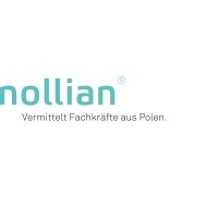nollian - Bellini Personal AG logo - Similar company to Contauro Ag