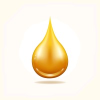 professional oil and gas jobs in iraq logo - Similar company to Ampp Iraq Chapter