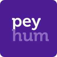 peyhum | Digital Firm logo - Similar company to Groweasy Solutions