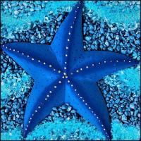 Blue Spirit Travel Club logo - Similar company to Agenzia Viaggi Kalintour