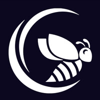 MHF APIS Capital logo - Similar company to Ribston