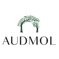 AUDMOL logo - Similar company to Alef United Limited
