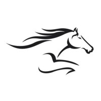 Commonwealth Capital LLC logo - Similar company to Vicequity