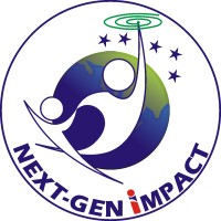 Next-Gen Impact (NGI) Consulting logo - Similar company to Energeon Technologies (Pvt) Ltd