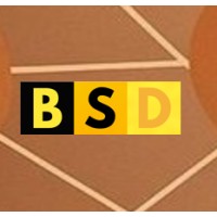 Bundesarbeitsgemeinschaft Schwerbehindertenvertretungen in Deutschland e. V. (BSD) logo - Similar company to Arbeitsgemeinschaft Für Notfallmedizin