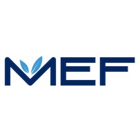 Middle East Food logo - Similar company to Blond&Bold
