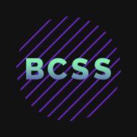 BCSS Development Solutions logo - Similar company to Asis Romania