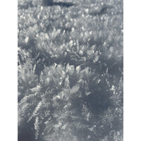 Test12345 logo - Similar company to Schule Papillon