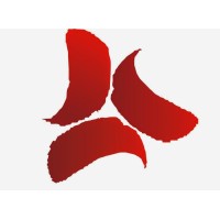 CIEI Cursos Profissionalizantes logo - Similar company to Cursos Cpt - Centro De Produções Técnicas