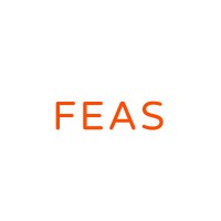 Feas Websites logo - Similar company to One Step Marketing
