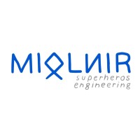 Miolnir Srl logo - Similar company to Euro Electra Group
