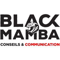 Black Mamba SN logo - Similar company to Globe Services