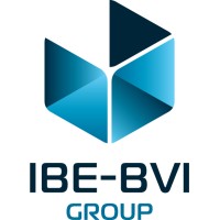IBE-BVI Group logo - Similar company to Dnergy®