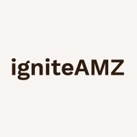 IGNITEAMZ logo - Similar company to Allara Consulting, Llc
