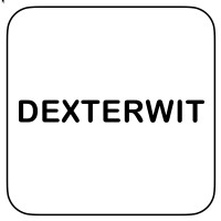 DEXTERWIT logo - Similar company to Blitz Infosystem