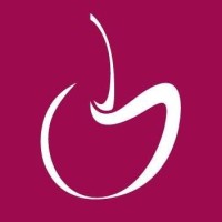 Health Recruit Network - HRN logo - Similar company to Braddock Group