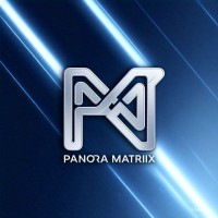 Panora Matrix logo - Similar company to Infinite Solutions