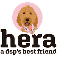 Hera Solutions an App for Amazon DSPs logo - Similar company to Ceemo.Ai
