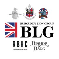 Burgundy Lion Group logo - Similar company to Infinite Key Solutions