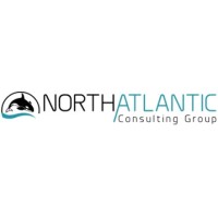 North Atlantic Consulting Group logo - Similar company to Execution Partners