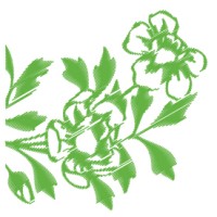 Laflora Latvia logo - Similar company to Siluflora Sia