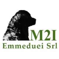 Emmeduei Srl logo - Similar company to J-Soft Sa