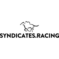 Syndicates.Racing logo - Similar company to E.F Visionsoft Ltd