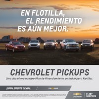 Flotillas GM logo - Similar company to Directed Empresas - Soluciones Para Flotillas