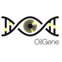 OilGene logo - Similar company to Cognitek Digital