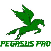 Embramec - PegasusPro logo - Similar company to Edromania Ind E Com Ltda