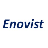 Enovist logo - Similar company to Td Systems Ltd