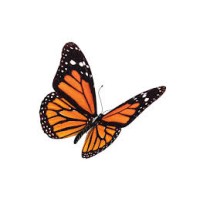 Sysmosystems logo - Similar company to Sysmos